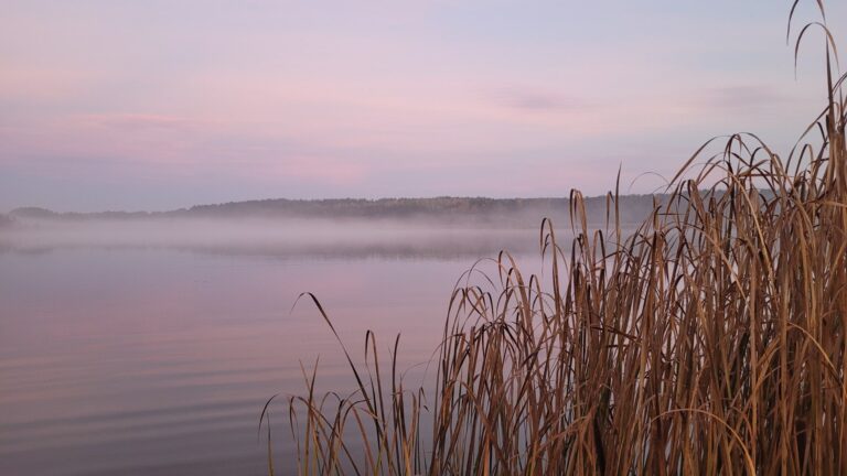 Naturpark Westhavelland Rathenow