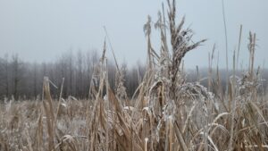 Naturpark Westhavelland Rathenow