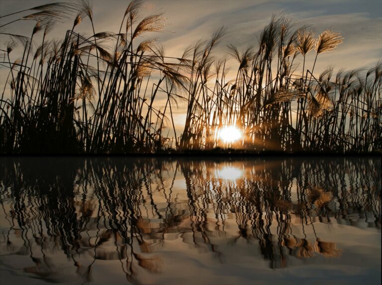 Naturpark Westhavelland Rathenow